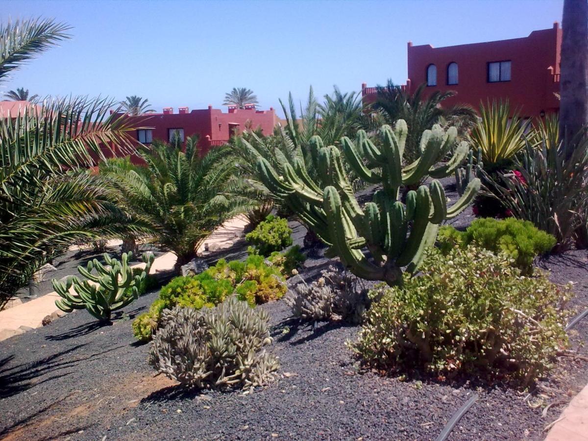 Tamarindo I piscinas de agua salada - fibra óptica Apartamento Corralejo Exterior foto