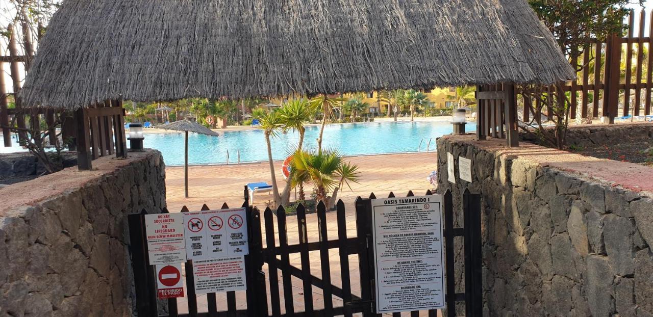 Tamarindo I piscinas de agua salada - fibra óptica Apartamento Corralejo Exterior foto