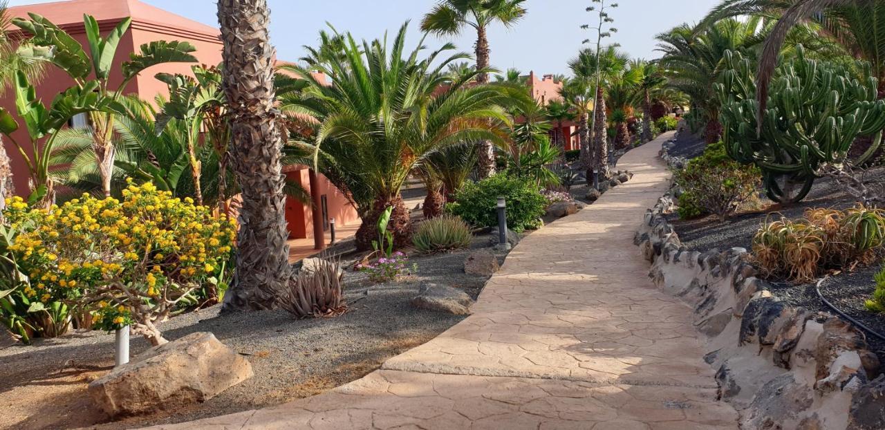 Tamarindo I piscinas de agua salada - fibra óptica Apartamento Corralejo Exterior foto