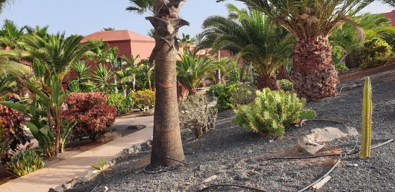 Tamarindo I piscinas de agua salada - fibra óptica Apartamento Corralejo Exterior foto
